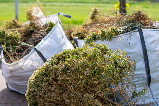 Best Dumpster Rental Services  in Nicholson, MS